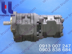 Hydraulic gear pump for crane Tadano TR250M-4