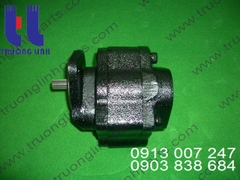 Hydraulic gear pump for crane Tadano TR250M-4