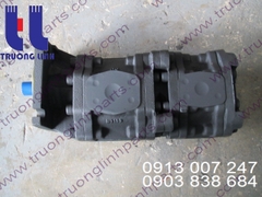 Hydraulic gear pump for Crane Tadano TR350M-2