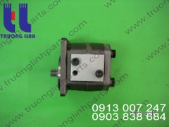 Hydraulic gear pump for Crane Tadano TG1000R