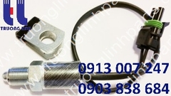 CH74044 SWITCH