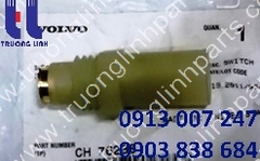 CH76288 FLOW SWITCH