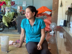 Vụ bị kết án 6 năm tù vì nuôi, bán gà lôi trắng: Chính quyền, kiểm lâm nói gì?