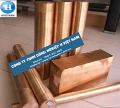 Đồng điện cực