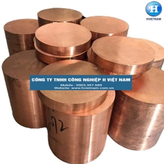 Đồng điện cực