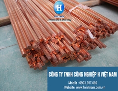 Đồng điện cực