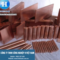 Đồng điện cực