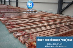 Đồng điện cực