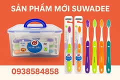 Bàn chải đánh răng người lớn
