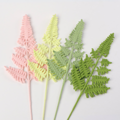 Cành Lá Dương Xỉ Tuyết