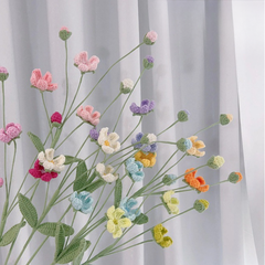 Cành Hoa Mận  Mờ