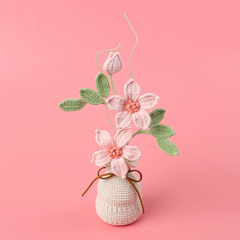 (Túi+Thiệp) Chậu Hoa Đế Len - Anh Thảo - Hồng