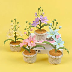 Chậu Hoa Lan Đế Len