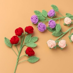 CÀNH HOA HỒNG BARBIE, HOA HỒNG LEN VĨNH CỬU