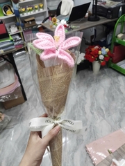 Bó Hoa Len 2026 - Bó Hoa Bọc Kính Handmade
