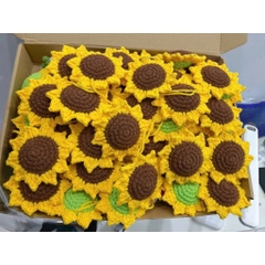 Phôi Hoa Hướng Dương