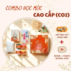 Combo Học Móc Len Cao Cấp C02 (NEW) - Nhung Gấu