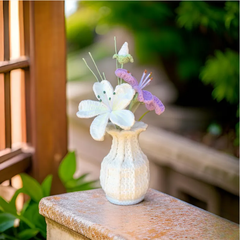 (Túi+Thiệp) Chậu Hoa Đế Len - Maixianweng - Tím