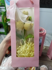 Bó Hoa Len 2026 - Hoa len Túi Giấy Handmade