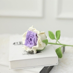 DIY Ha Hồng Tím Trắng