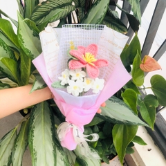 Bó hoa Tulip Dài-Hồng