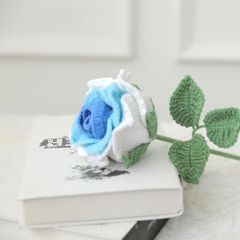 DIY Hoa Hồng Xanh Trắng