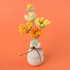 Chậu Hoa Gesang Đế Len