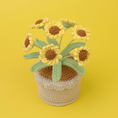 (Túi+Thiệp) Chậu Hoa Đế Len - Cúc 7 bông - Vàng