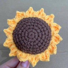 Phôi Hoa Hướng Dương