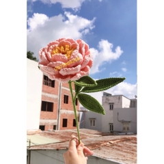 Thành phẩm hoa mẫu đơn