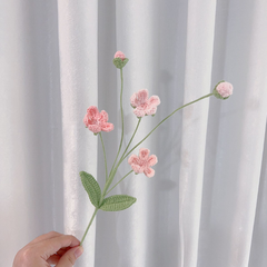 Cành Hoa Mận  Mờ