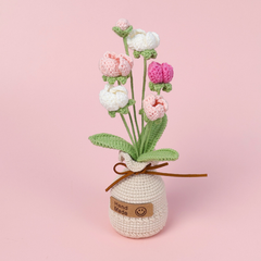 Chậu Hoa Prunus Mume Đế Len