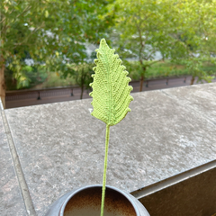 Bộ Sưu Tập Lá Len Handmade Trang Trí