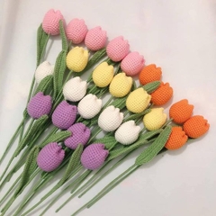 Combo 10 Cành Kẽm 40cm