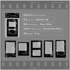 Set 15 Tấm Film Dán Khung Ảnh, Sticker Film Ảnh Vintage Trang Trí Sổ Tay, Hộp Quà Handmade LYLYCRAFT