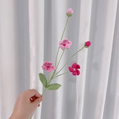 Cành Hoa Mận  Mờ