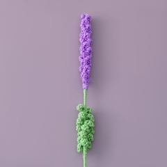 Cành hoa Lavender - Thành phẩm hoa Lavender