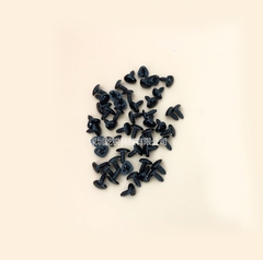 CB 5 MŨI THÚ ĐEN 10x11mm