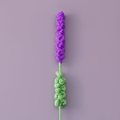 Cành hoa Lavender - Thành phẩm hoa Lavender