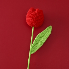Thành phẩm hoa tulip tròn