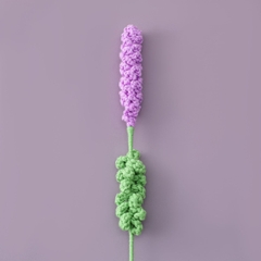 Cành hoa Lavender - Thành phẩm hoa Lavender