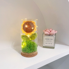 Hoa Hướng Dương Để Bàn Đựng Trong Lồng Kính Có Đèn Led