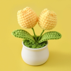 Chậu hoa tulip nhỏ