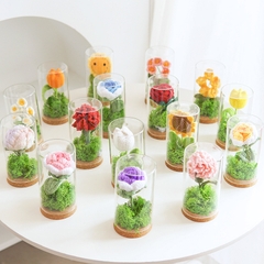 Hoa Hướng Dương Để Bàn Đựng Trong Lồng Kính Có Đèn Led