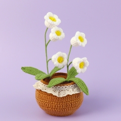 (Túi+Thiệp) Chậu Hoa Đế Len - Hoa chuông - Trắng