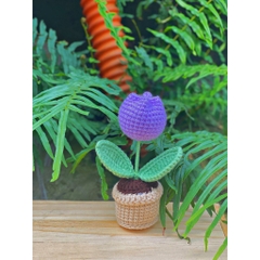 Chậu Hoa Tulip LYLYCRAFT Bằng Len Handmade Để Trang Trí Dễ Thương Đồ Trang Trí Quà Tặng Người Thân Đồng Nghiệp Bạn Bè