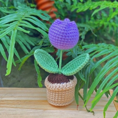 Chậu Hoa Tulip LYLYCRAFT Bằng Len Handmade Để Trang Trí Dễ Thương Đồ Trang Trí Quà Tặng Người Thân Đồng Nghiệp Bạn Bè