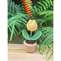 Chậu Hoa Tulip LYLYCRAFT Bằng Len Handmade Để Trang Trí Dễ Thương Đồ Trang Trí Quà Tặng Người Thân Đồng Nghiệp Bạn Bè
