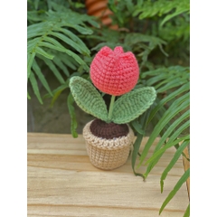 Chậu Hoa Tulip LYLYCRAFT Bằng Len Handmade Để Trang Trí Dễ Thương Đồ Trang Trí Quà Tặng Người Thân Đồng Nghiệp Bạn Bè