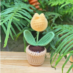 Chậu Hoa Tulip LYLYCRAFT Bằng Len Handmade Để Trang Trí Dễ Thương Đồ Trang Trí Quà Tặng Người Thân Đồng Nghiệp Bạn Bè